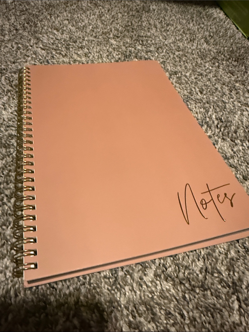 Blush Pink 'Notes' Spiral Notebook - Gold Coil